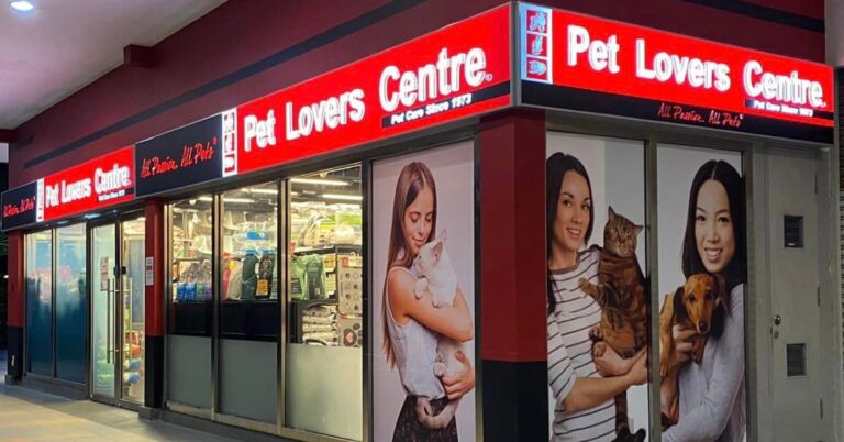 7 Best Pet Shops Singapore Owners Trust (And Love) in 2026