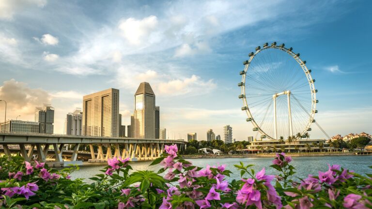 Singapore Flyer overlooking Marina Bay skyline