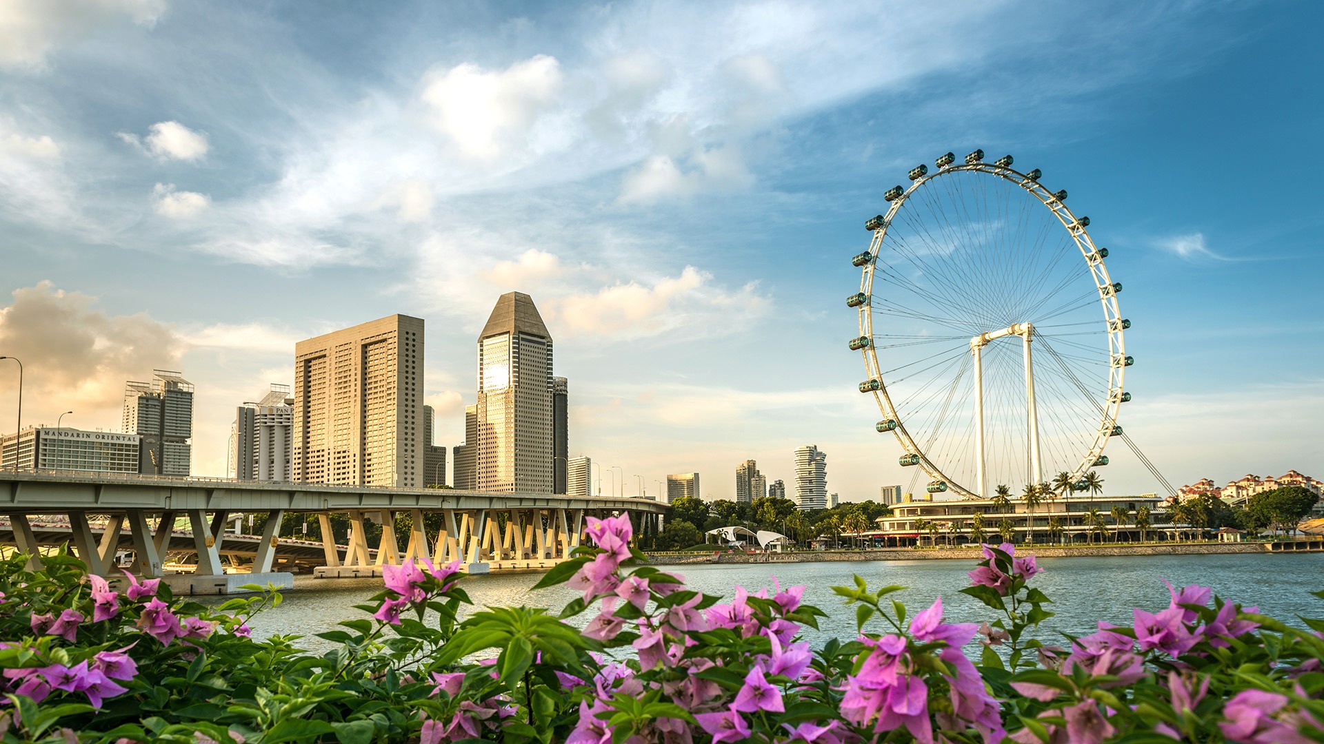 Singapore Flyer overlooking Marina Bay skyline