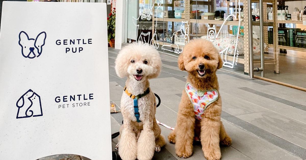 Best Pet Shops Singapore with dogs and pet care products