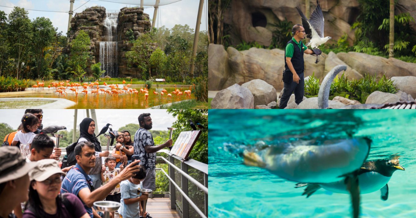 Families enjoying wildlife and nature attractions in Singapore