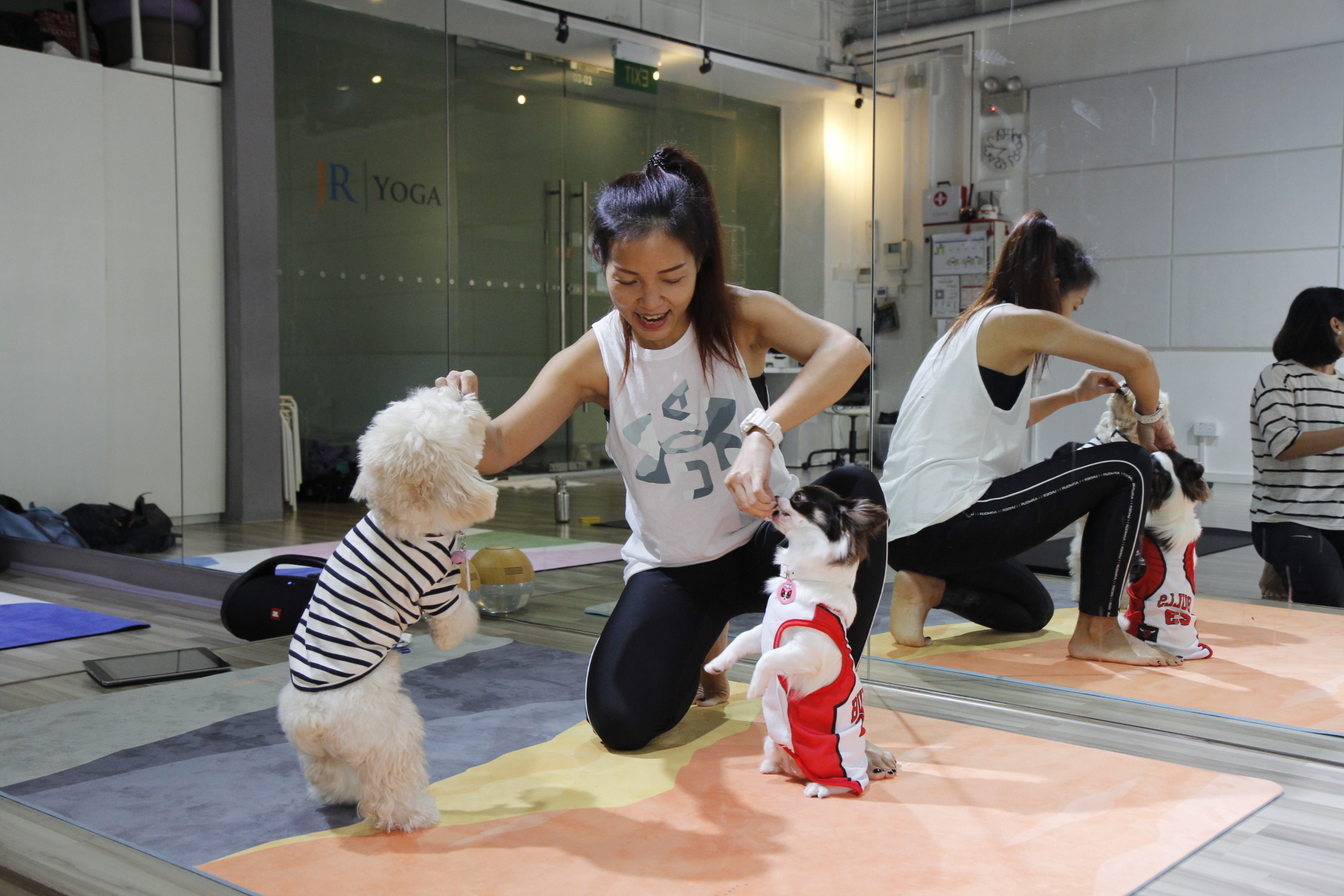 Puppy training class with owners in Singapore