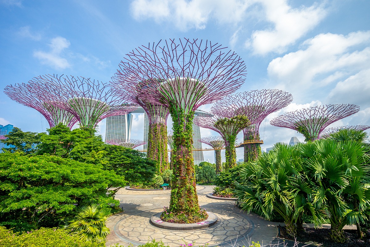 Gardens by the Bay Supertree Grove in Singapore