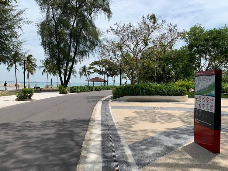 Peaceful coastal park pathway lined with tropical trees in Singapore
