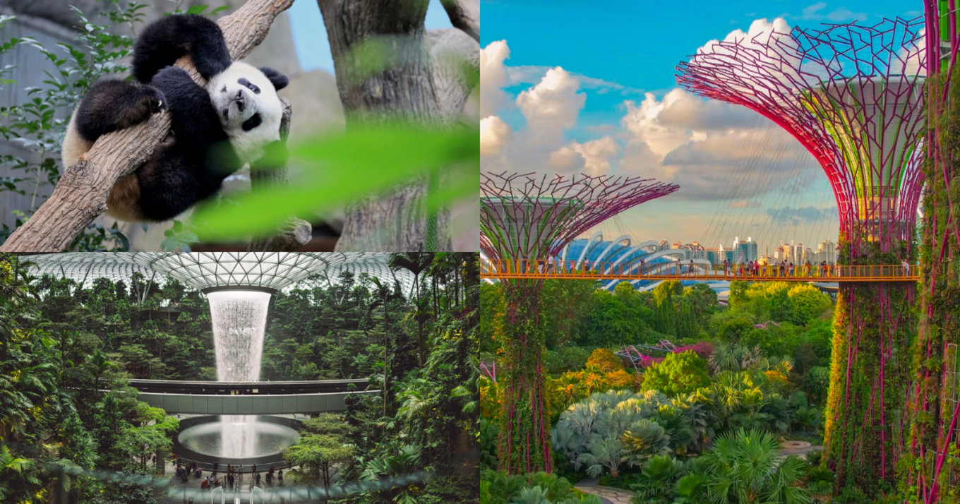 Gardens by the Bay with Supertree Grove and lush gardens