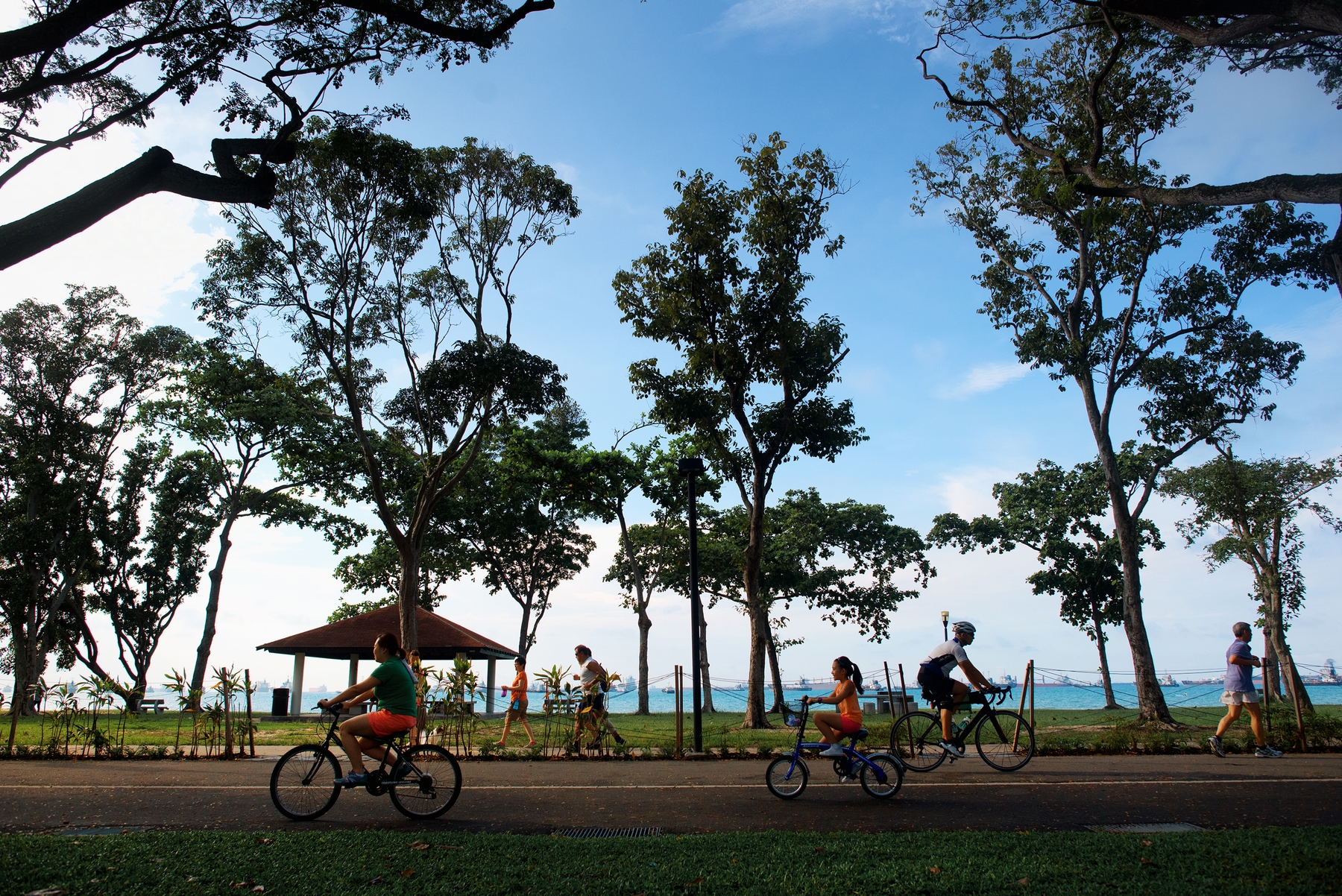 Cyclists riding along East Coast Park Singapore
